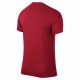 Nike Park VI Herren Trikot in Rot