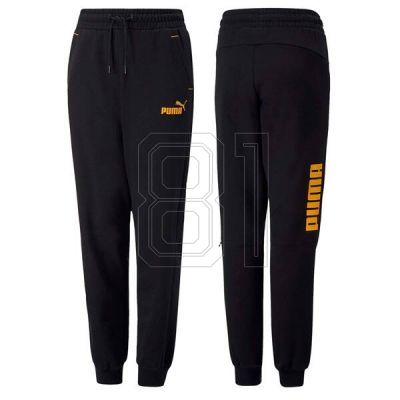Puma Power Jr 670100 51 Hose