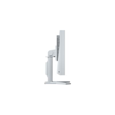 EIZO FlexScan 19 S1934H-GY LED-Monitor