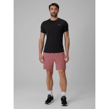 Schnelltrocknende Herren-Trainingsshorts 4F 4FRSS26TFSHM1622-65S