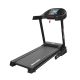 BODYTONE ELEKTRISCHES LAUFBAND DT16+