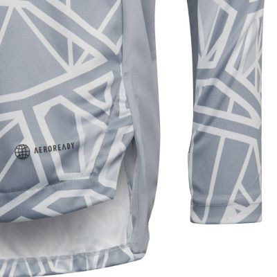 3. adidas Condivo 22 Langarm-Torwarttrikot für Kinder, Grau, HB1646