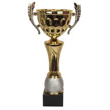 The Triumph Cup W1888