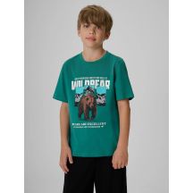 Normales bedrucktes Jungen-T-Shirt 4F 4FJKAW26TTSHM4456-46S