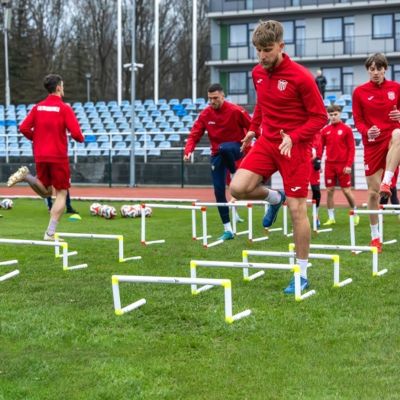 6. Pro Yakima Sport Trainingshürde 40cm 100083