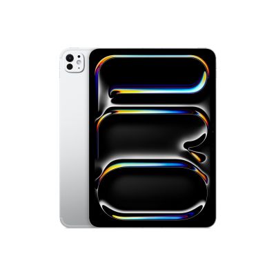 2. iPad Pro 11" M5 WiFi + Cellular 256 GB Silber ME2P4HC/A