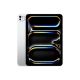 2. iPad Pro 11" M5 WiFi + Cellular 256 GB Silber ME2P4HC/A