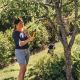 3. Fiskars LX92 Gartenschere