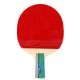 2. Aurora PRO 1* SG 1006 kurzer Tischtennisschläger