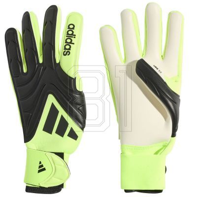 adidas Copa GL LGE JN5344 Handschuhe