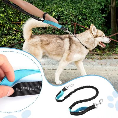 7. Wozinsky WPST-01 Hüftgurt mit Tasche und elastischer Leine zum Joggen mit Hund – Schwarz