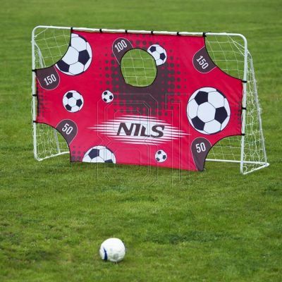 6. Goal with net and aiming panel Nils BR240P 2in1 240x150cm 10-10-821