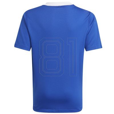 2. Adidas Tiro 21 Tr Jsy Y Jr T-Shirt GM7577