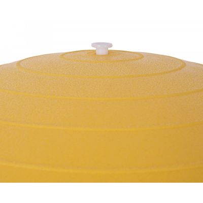 2. Rucanor Gymnastikball 45cm gelb + Pumpe