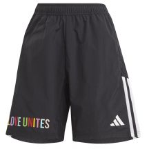adidas TIRO Pride HY5900 Shorts