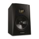 6. ADAM AUDIO T8V - Aktiver Monitor