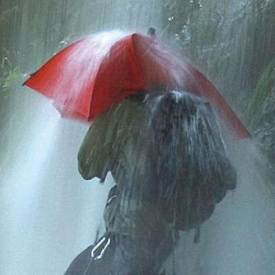 10. EuroSCHIRM Birdiepal Outdoor-Regenschirm aus rotem Fiberglas-Polyamid in voller Größe