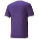 2. Puma teamLIGA Trikot M 704917 10