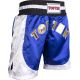 4. TOP TEN Kick Light Shorts (WAKO-GENEHMIGT)