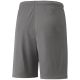 4. Puma teamLIGA M 704924 13 Shorts
