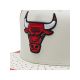 3. Mitchell & Ness NBA Day One Snapback Bulls Cap 6HSSMM19224-CBUWHRD
