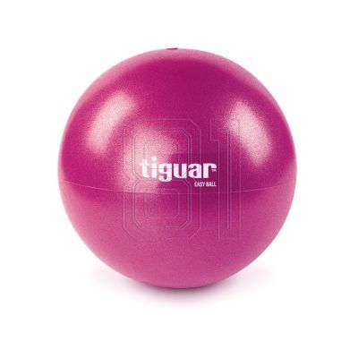 2. Tiguar Easyball TI-PEB025 Gymnastikball