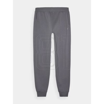 12. Jogginghose 4F M 4FWMM00TTROM0943-25S