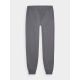 12. Jogginghose 4F M 4FWMM00TTROM0943-25S
