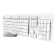 Tastatur + Maus Trust ODY II Wireless White US