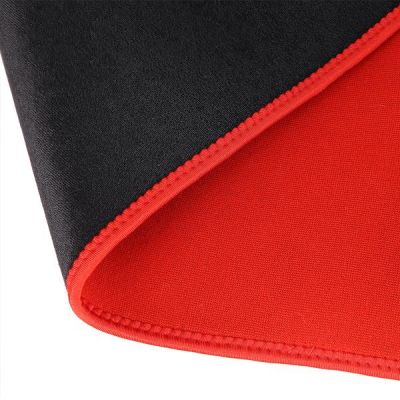 12. HMS BR163 Neoprengürtel