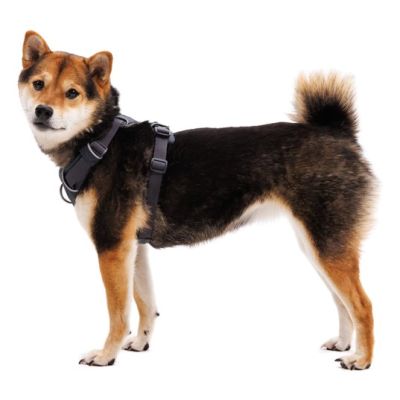 6. Ruffwear 30503-042M Hundegeschirr / Katzengeschirr M Grau Nylon, Polyester Hund Nicht dehnbares Geschirr