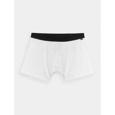 2. Herren-Boxershorts (2er-Pack) 4F 4FWMM00UBXSM059-90S