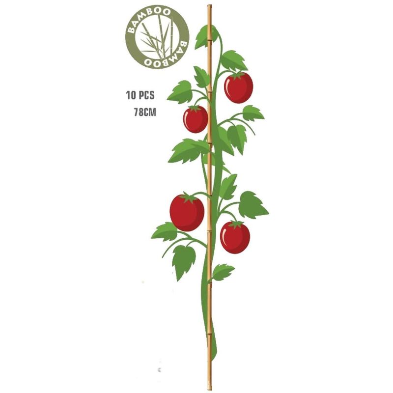 10. PROGARDEN Bambus-Pflanzenstütze 78 cm 10 Stück
