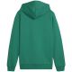 2. Puma Team Goal Casuals Hoddy Jr Sweatshirt 658619 05