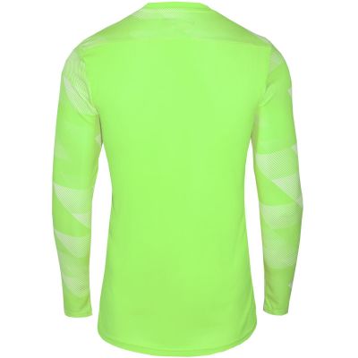 3. Nike Dry Park IV JSY LS GK Jr CJ6072-702 Trikot