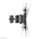 12. Neomounts FL40-430BL12 TV-Wandhalterung 106,7 cm (42") Schwarz