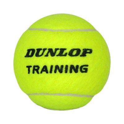 2. Dunlop Trainingsball