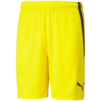 4. Puma teamLIGA M 704924 07 Shorts