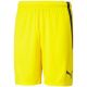 4. Puma teamLIGA M 704924 07 Shorts
