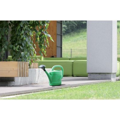 SPRING GREEN WASSERKANN 5L