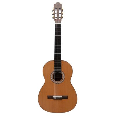 Prodipe Guitars Primera 4/4 EQ - elektroklassische Gitarre