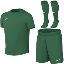 Nike Dri-Fit Park VIII grünes HV8260 302 S Sportset für Kleinkinder