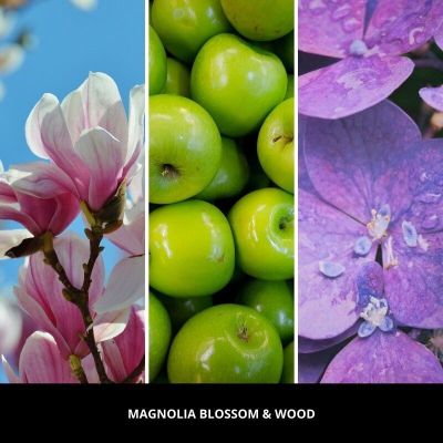 3. Rosa Auto-Lufterfrischer - Magnolienblüte & Millefiori-Holz