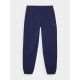 7. Herren Jogger Sweatpants 4F 4FWMM00TTROM1139-31S