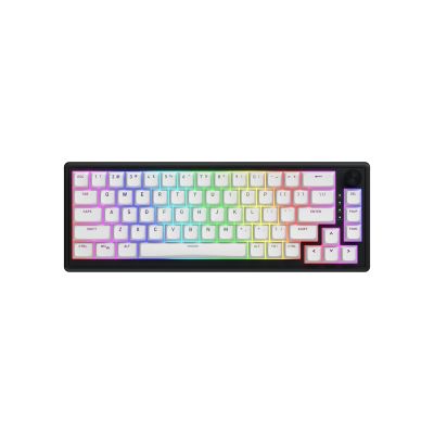 9. HATOR Skyfall 65 MAG ULTRA 8K Gaming-Tastatur USB QWERTY US Englisch Schwarz, Weiß