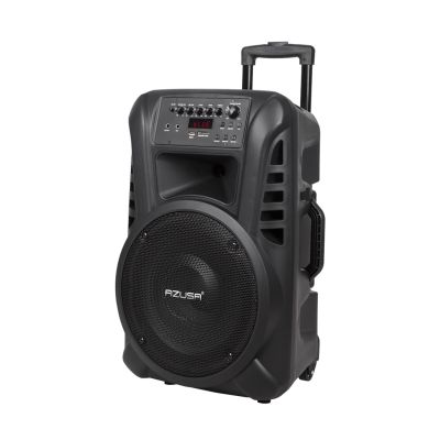Azusa Aktivlautsprecher (mit 2 Mikrofonen, SD, Bluetooth, USB) 12" 40W