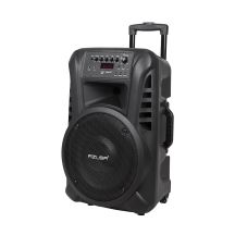 Azusa Aktivlautsprecher (mit 2 Mikrofonen, SD, Bluetooth, USB) 12" 40W