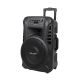 Azusa Aktivlautsprecher (mit 2 Mikrofonen, SD, Bluetooth, USB) 12" 40W