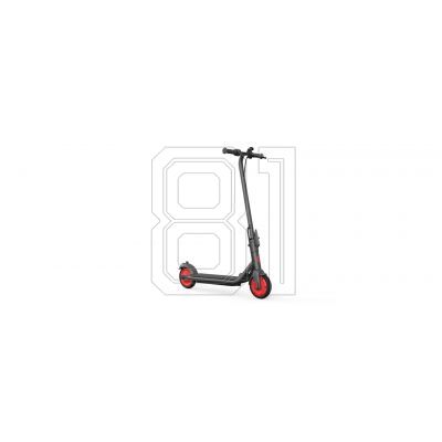 14. Segway-Elektroroller ZING C20