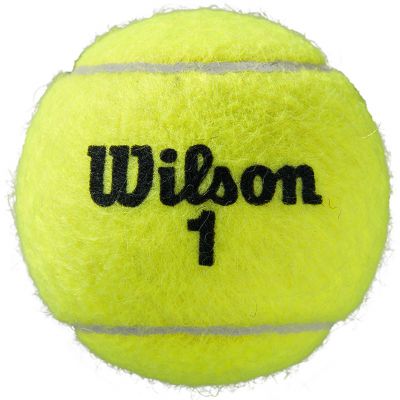 4. Wilson Roland Garros All Court Tennisbälle 3 Stück WRT126400
